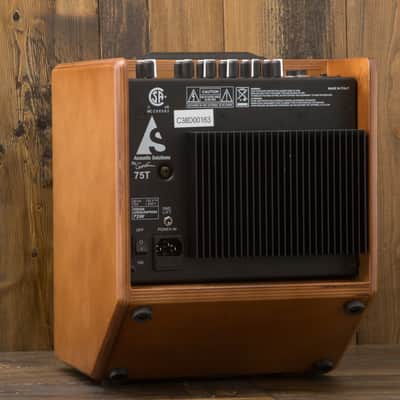 Godin Acoustic Solution ASG-75 watt Wood 2 Channel Acoustic Guitar Amp image 4