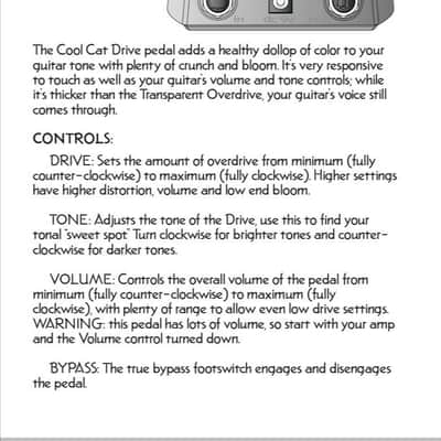 Danelectro Cool Cat Drive V1 image 4