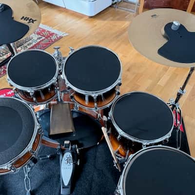 Sakae ALMIGHTY BIRCH DRUM SET 2021 - Birch image 4