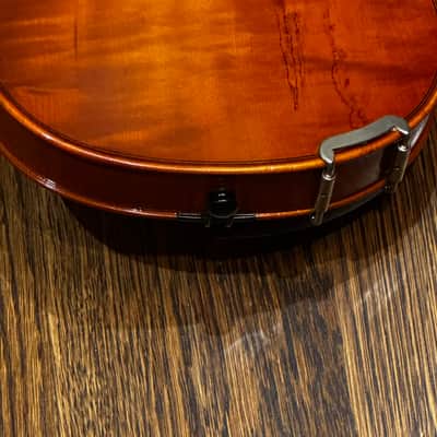 Eastman SWVL100 Student Violin Outfit image 10