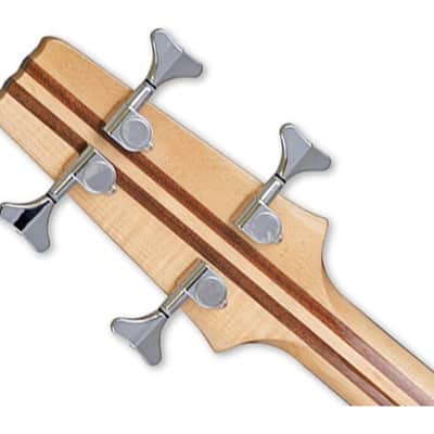 Aria Pro II SB-700 4-String Bass Guitar - Walnut - Open Box image 5