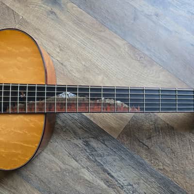 Breedlove Custom Shop "Trip Cascade" Concertina image 12