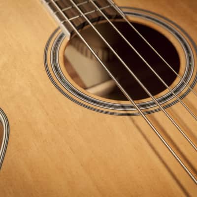 Takamine GB72CE G Series Acoustic Bass - Rosewood Fingerboard, Natural image 11