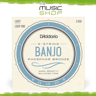 D'Addario 09-20 Regular Light Phosphor Bronze 5 String Banjo Strings - EJ69 image 1