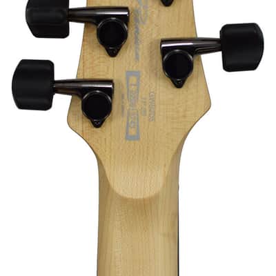 Ibanez Bass GWB205-TQF Gary Willis Fretless 5 image 6