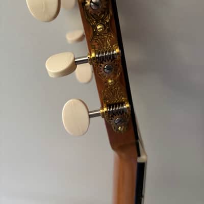 Andy Culpepper Maple 2024 - French Polish image 3