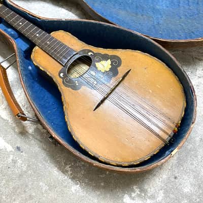 🎸 UNKNOWN MANDOLIN / D.R.G.M. / 1891-1945 / antique image 2