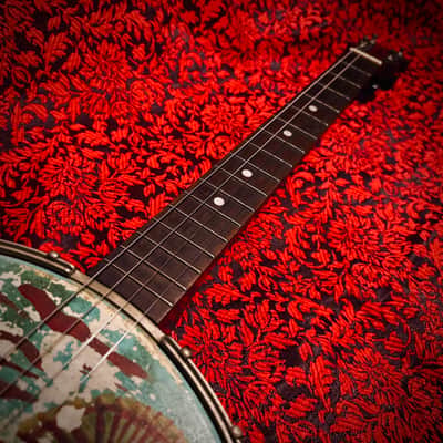 Rare 1920s Washburn Tenor Banjo Style E image 11