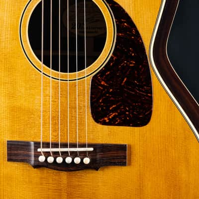 Kevin Kopp ‘The Bob’ Nick Lucas 20th Anniversary Model Brazilian Rosewood and Torrefied Adirondack Spruce with Pickup Used (2025) image 9