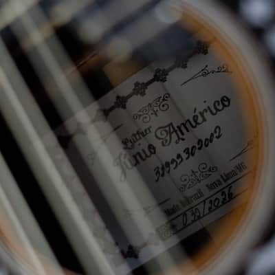 Junio Americo 10-String Mandolin | Brazil (with VS Tuners) image 8