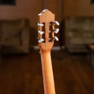 Ortega RCE131 Family Series Pro Solid Cedar Top Mahogany Neck Cutaway Nylon 6-String Classical Acoustic-Electric Guitar w/Gig Bag image 24