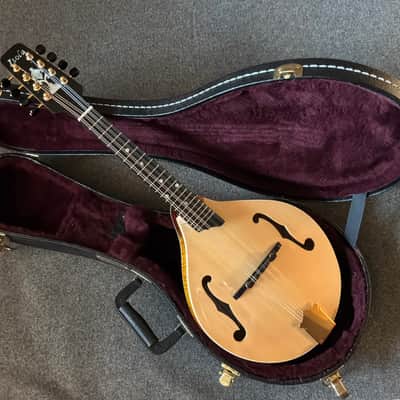Isola Mandolins A5 2026 - New image 10