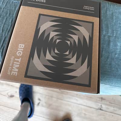Chase Bliss Audio Big Time Delay 2026 image 6