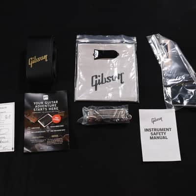 Gibson Adam Jones Les Paul Standard Silverburst USA - LPS7PAJ00ASCH1 333 image 12