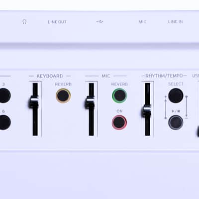 Korg Liano LIVE! image 2