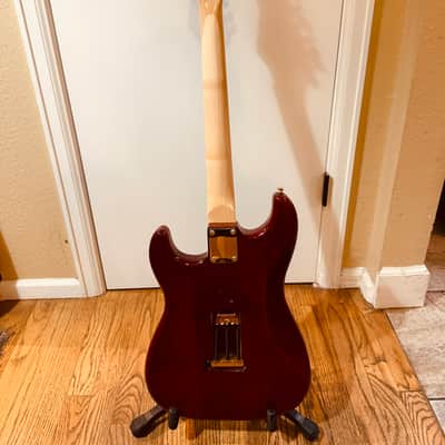 Donzilla ZebraWood Partscaster image 5