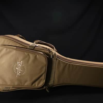 Taylor 214ce-N Nylon Acoustic-electric Guitar - Natural 500 image 13
