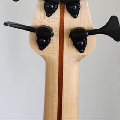 Tensor custom bass Classic series 5-string dual-pickup image 6