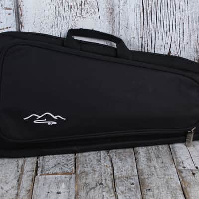 Spring Creek Handmade 2 Octave Bowed Psaltery with Bow Gig Bag and Tuning Key image 11