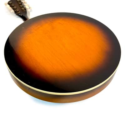 Kalamazoo (by Gibson) Mandolin-Banjo (Banjolin) 1935's image 17