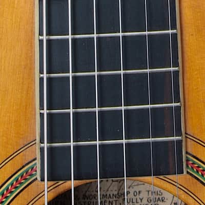 Washburn Model 330 1905-1917 / Grand Concert Size / Breathtaking! / July Special!!! image 4