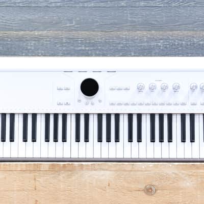 Arturia AstroLab 61 Avant-Garde Stage Keyboard 61-Note Semi-Weighted Keyboard image 4