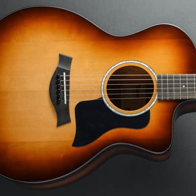 Immagine Taylor USED 214CE-K SB Plus '26 - 1