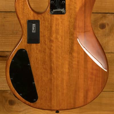 Sterling RAY34HHPB StingRay HH Bass - Burled Amber image 2