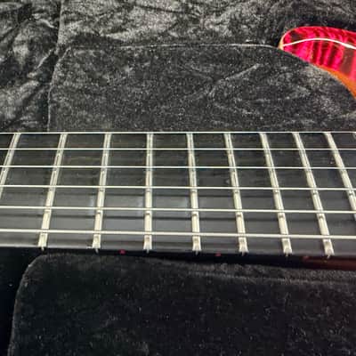 PRS Custom 24 Private Stock Baritone 28” Scale image 9