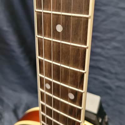Beaver Creek BCBJ-G 6-String Banjo - Mahogany image 12