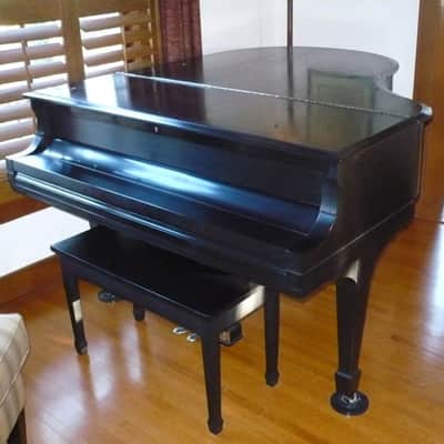 1917 Steinway Baby Grand Model M Satin Black image 2