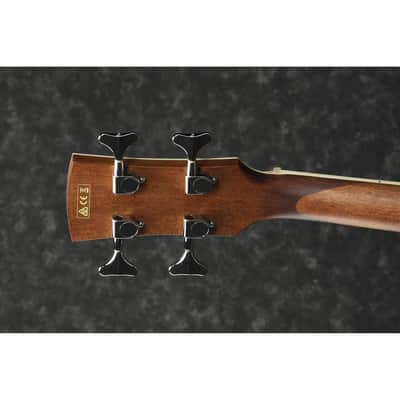 Ibanez PNB14E Performance Series Acoustic-Electric Bass - Open Pore Natural image 7
