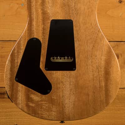 PRS Custom 24 Artist Top Faded Indigo Flame w/Awabi Birds image 4