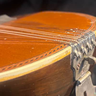 American conservatory Lyon & Healy Bowl Back mandolin - Early 1900s  - Brazilian Rosewood - All Org. - Great Player - Ships FREE!!! image 18