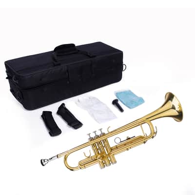 🎅🎄 For Pros and Beginners! Gold (Brass) Unmarked Trumpet with Case/Bag/Pack +Strap +Cloth! image 8
