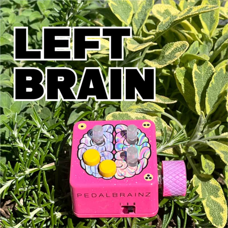 Pedal Brainz Left Brain - Expression Modulator image 1