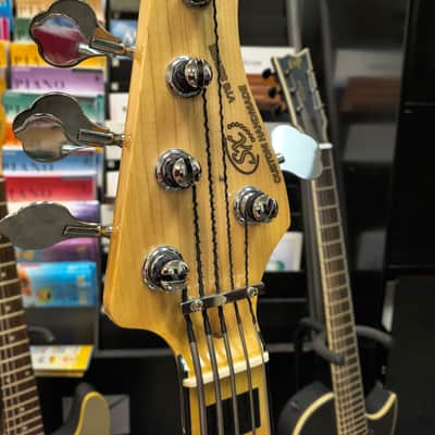 SX VTG Series, 5-String Bass image 3