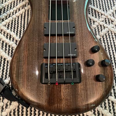 Spector Rebop 4 DLX EX 2011 - Zebrawood Black | Reverb