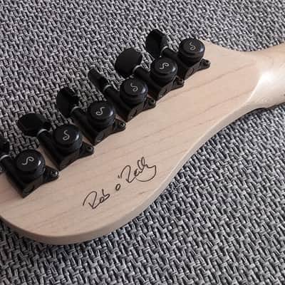 Rob O Reilly Expressiv MIDI PRO – Best MIDI guitar on the market image 15