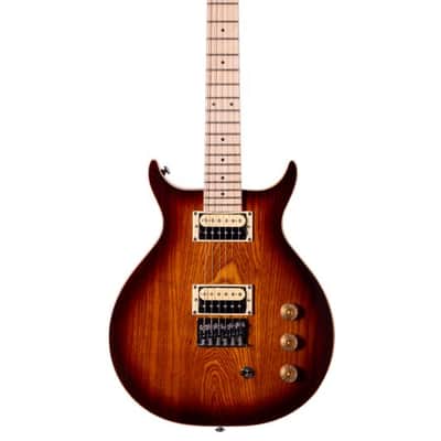 Washburn R5TS | Wing Series Raven Electric Guitar, Tobacco Sunburst. New with Full Warranty!