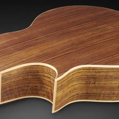 Warwick Alien 6-String Acoustic Bass Acoustic Bass image 4
