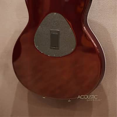 Taylor T5 Pro – Borrego Red 2013 image 6