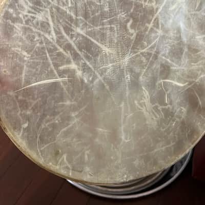 Calf skin drum head 14” calf skin snare side 60s image 6