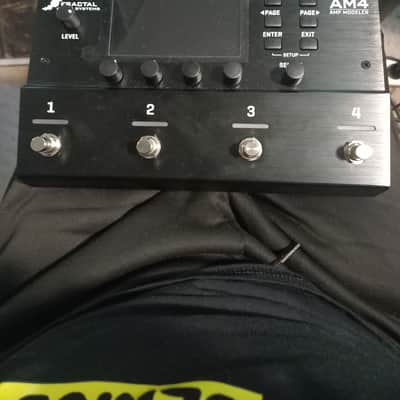 Fractal Audio AM4 Amp Modeler 2026 image 5