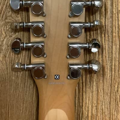 Alvarez 12 String image 10