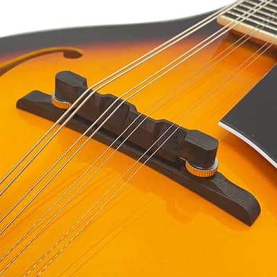 A-Style 8-String Acoustic-Electric Mandolin Kit with Gig Bag, Tuner, Strap & Accessories image 5