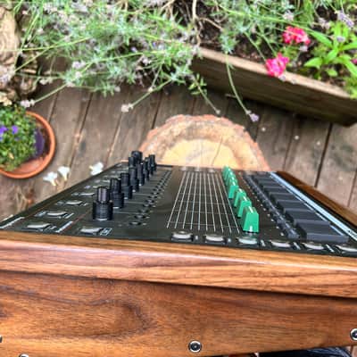 ISLA S2400 & Walnut Wood Curry Console & Decksaver - 12bit Sampler - EMU SP12 - SP 1200 - Akai S612 - S700 image 6