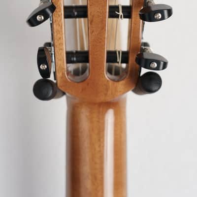 Cordoba  Fusion 12 Rose Classical Acoustic-Electric Guitar image 10