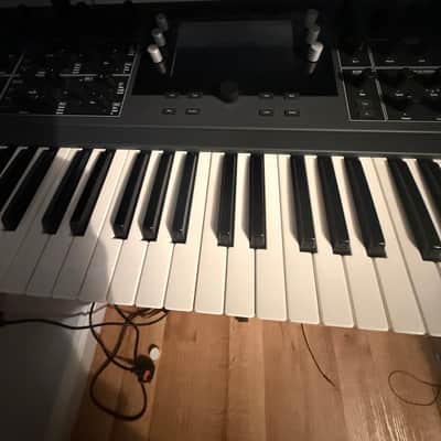 Waldorf Quantum 61-Key Hybrid Synthesizer 2017 - Present - Black image 11