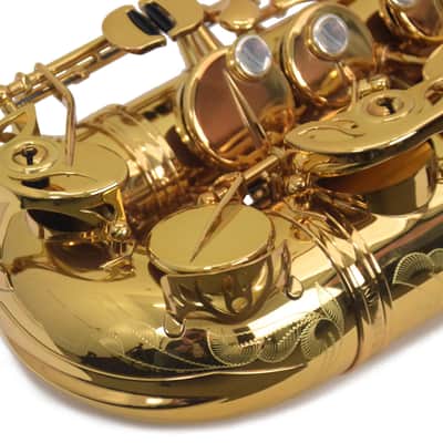 Eastman EAS850 Rue Saint-Georges Alto Saxophone - Lacquer image 3